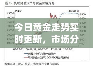 今日黃金走勢(shì)實(shí)時(shí)更新，市場(chǎng)分析與展望，最新報(bào)價(jià)揭秘