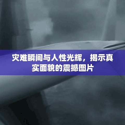 災(zāi)難瞬間與人性光輝，揭示真實(shí)面貌的震撼圖片