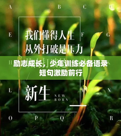 勵志成長，少年訓(xùn)練必備語錄短句激勵前行