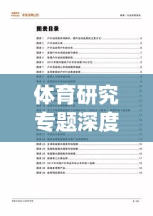 體育研究專題深度總結報告，洞悉精髓，引領行業(yè)新動向