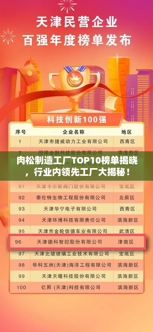 肉松制造工廠TOP10榜單揭曉，行業(yè)內(nèi)領(lǐng)先工廠大揭秘！