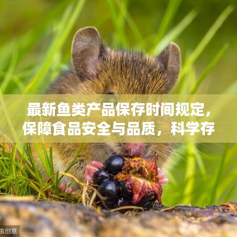 最新魚類產(chǎn)品保存時間規(guī)定，保障食品安全與品質(zhì)，科學(xué)存儲，健康享用