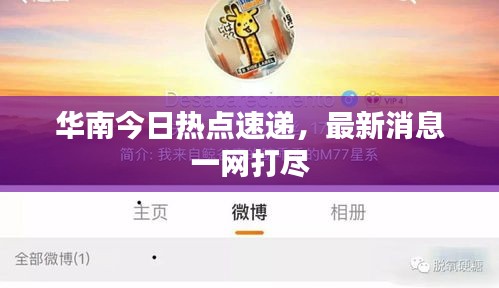 雞飛狗跳 第2頁(yè)