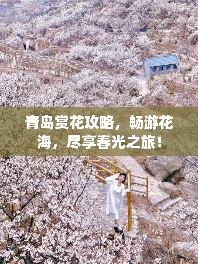青島賞花攻略，暢游花海，盡享春光之旅！