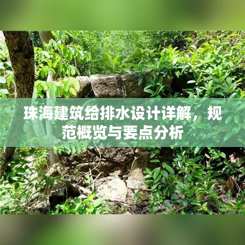 珠海建筑給排水設計詳解，規(guī)范概覽與要點分析
