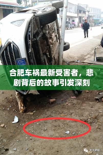 合肥車禍最新受害者，悲劇背后的故事引發(fā)深刻反思