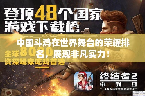 中國斗雞在世界舞臺的榮耀排名，展現(xiàn)非凡實力！