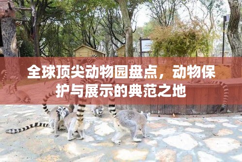 全球頂尖動物園盤點，動物保護與展示的典范之地