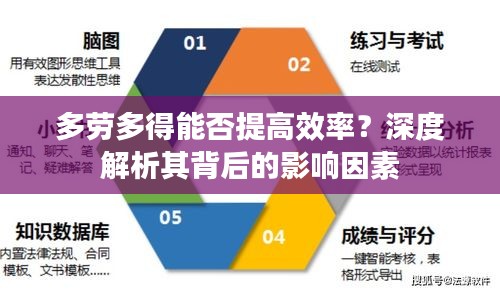 多勞多得能否提高效率？深度解析其背后的影響因素