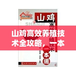 山雞高效養(yǎng)殖技術(shù)全攻略，一本通帶你輕松入門成專家