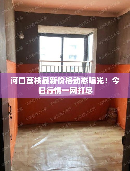 河口荔枝最新價(jià)格動(dòng)態(tài)曝光！今日行情一網(wǎng)打盡