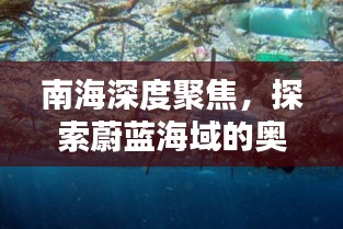 南海深度聚焦，探索蔚藍(lán)海域的奧秘