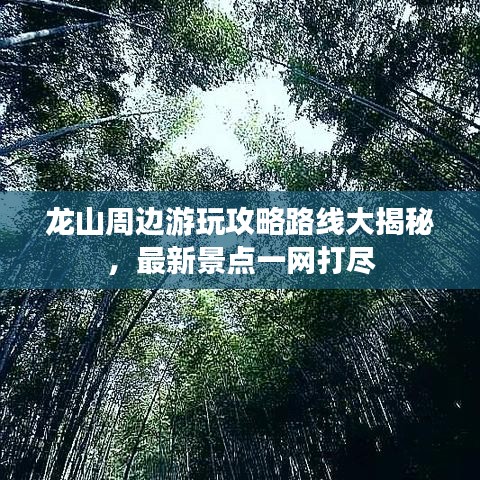 龍山周邊游玩攻略路線大揭秘，最新景點一網(wǎng)打盡