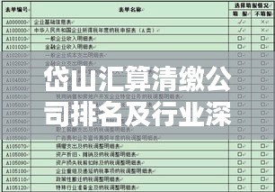 岱山匯算清繳公司排名及行業(yè)深度剖析