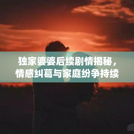 獨(dú)家婆婆后續(xù)劇情揭秘，情感糾葛與家庭紛爭持續(xù)升級(jí)