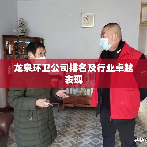 龍泉環(huán)衛(wèi)公司排名及行業(yè)卓越表現(xiàn)