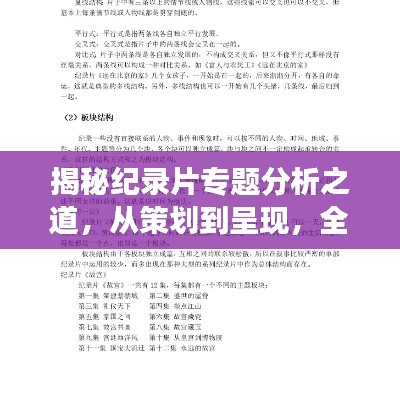 揭秘紀(jì)錄片專題分析之道，從策劃到呈現(xiàn)，全方位解讀！