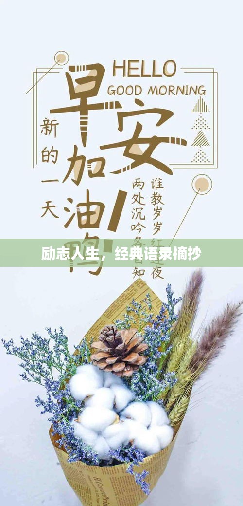 勵(lì)志人生，經(jīng)典語(yǔ)錄摘抄