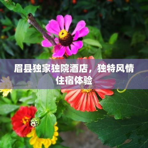 眉縣獨(dú)家獨(dú)院酒店，獨(dú)特風(fēng)情住宿體驗(yàn)