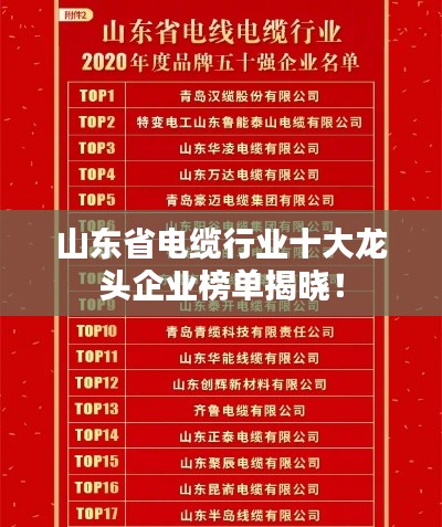 氣宇軒昂 第2頁