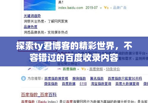 探索ty君博客的精彩世界，不容錯(cuò)過的百度收錄內(nèi)容
