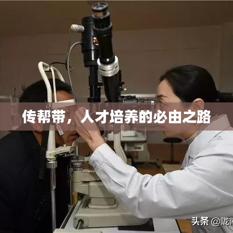 傳幫帶，人才培養(yǎng)的必由之路