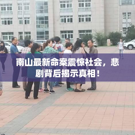 南山最新命案震驚社會(huì)，悲劇背后揭示真相！