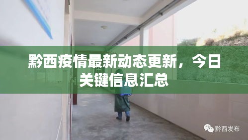黔西疫情最新動(dòng)態(tài)更新，今日關(guān)鍵信息匯總