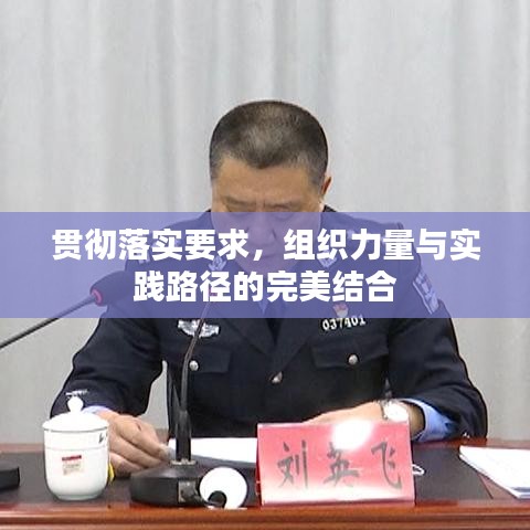 貫徹落實要求，組織力量與實踐路徑的完美結(jié)合