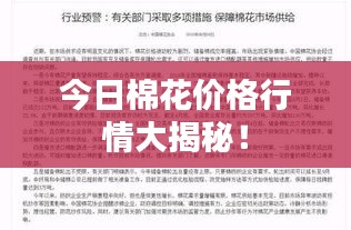 今日棉花價(jià)格行情大揭秘！