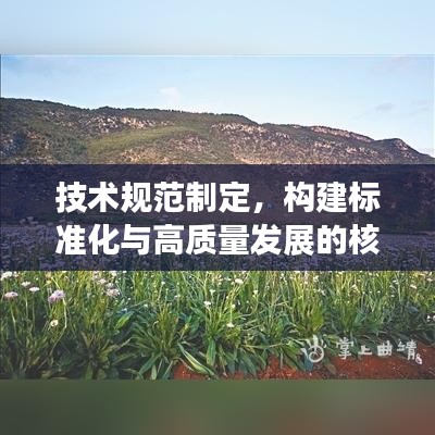 技術(shù)規(guī)范制定，構(gòu)建標(biāo)準(zhǔn)化與高質(zhì)量發(fā)展的核心路徑