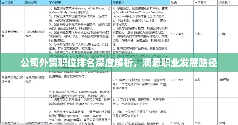 公司外貿(mào)職位排名深度解析，洞悉職業(yè)發(fā)展路徑