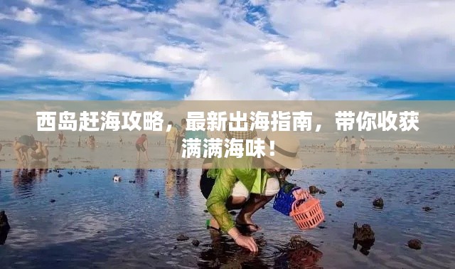 西島趕海攻略，最新出海指南，帶你收獲滿滿海味！