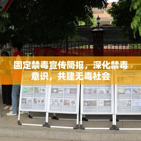 固定禁毒宣傳簡報，深化禁毒意識，共建無毒社會