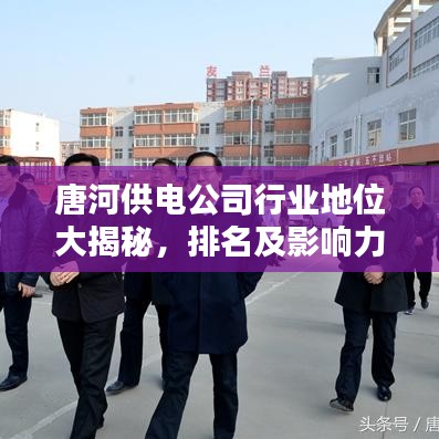 唐河供電公司行業(yè)地位大揭秘，排名及影響力解析