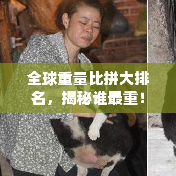 全球重量比拼大排名，揭秘誰最重！