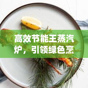 高效節(jié)能王蒸汽爐，引領(lǐng)綠色烹飪新時(shí)代，享受健康烹飪新體驗(yàn)