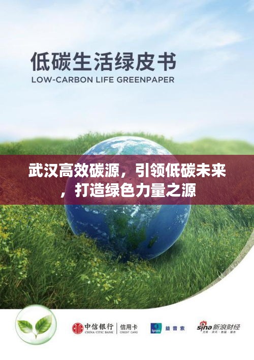 武漢高效碳源，引領(lǐng)低碳未來，打造綠色力量之源