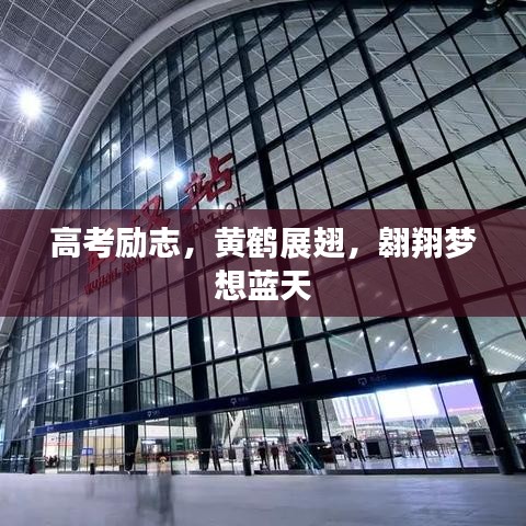 高考勵志，黃鶴展翅，翱翔夢想藍天