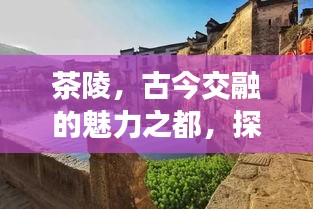 茶陵，古今交融的魅力之都，探尋獨(dú)特韻味