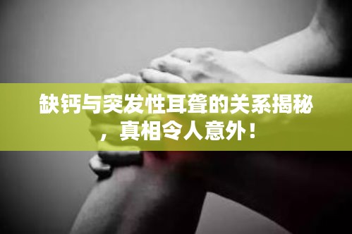 綱挈目張 第2頁