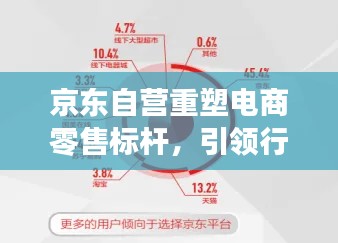 京東自營(yíng)重塑電商零售標(biāo)桿，引領(lǐng)行業(yè)新風(fēng)向！