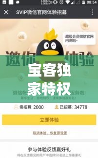 寶客獨(dú)家特權(quán)，尊享特惠，開(kāi)啟貴賓尊享體驗(yàn)之旅