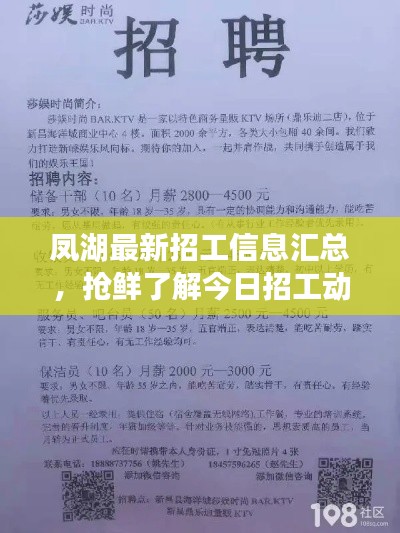 鳳湖最新招工信息匯總，搶鮮了解今日招工動(dòng)態(tài)