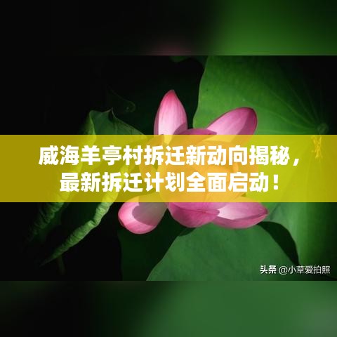 威海羊亭村拆遷新動向揭秘，最新拆遷計劃全面啟動！