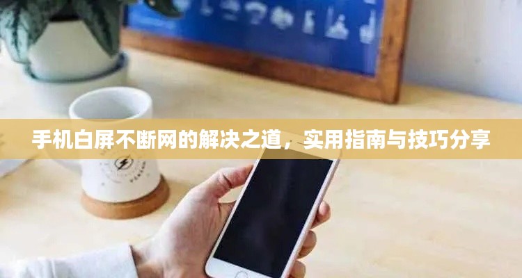 手機(jī)白屏不斷網(wǎng)的解決之道，實用指南與技巧分享