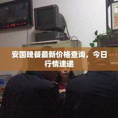 安國晚餐最新價格查詢，今日行情速遞