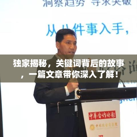 獨(dú)家揭秘，關(guān)鍵詞背后的故事，一篇文章帶你深入了解！
