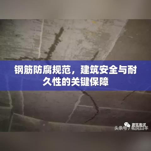 鋼筋防腐規(guī)范，建筑安全與耐久性的關(guān)鍵保障