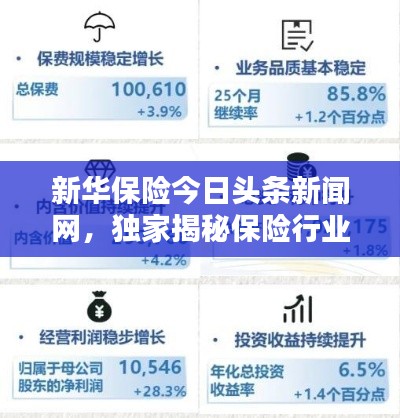 新華保險今日頭條新聞網，獨家揭秘保險行業(yè)最新動態(tài)與趨勢